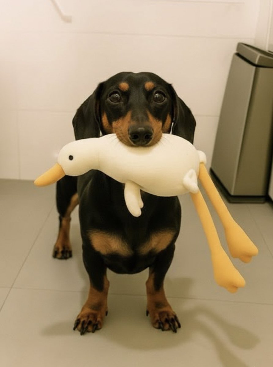 Order now : mythicexpress.com/products/large…