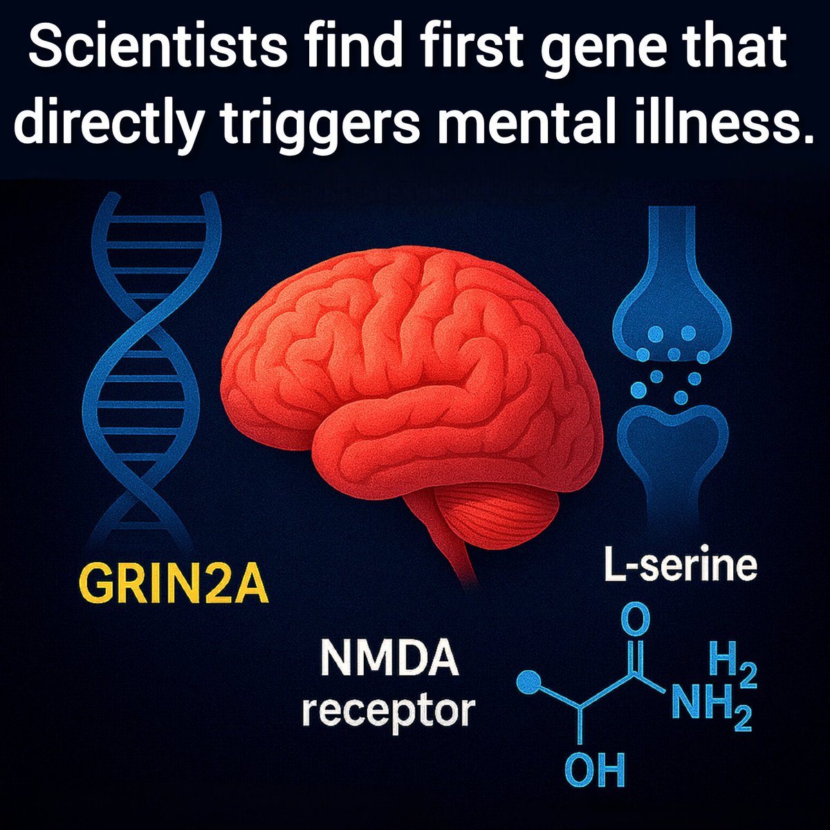 SciTechera's tweet image. This is INSANE: Scientists find first gene that directly triggers mental illness 🤯!

Researchers have identified GRIN2A as the first-ever single gene that can directly cause psychiatric disorders.

This gene controls key brain signaling through NMDA receptors. When GRIN2A…