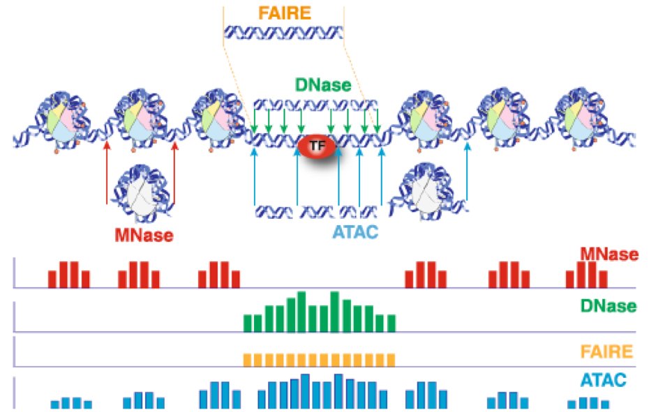 Ming "Tommy" Tang tweet media