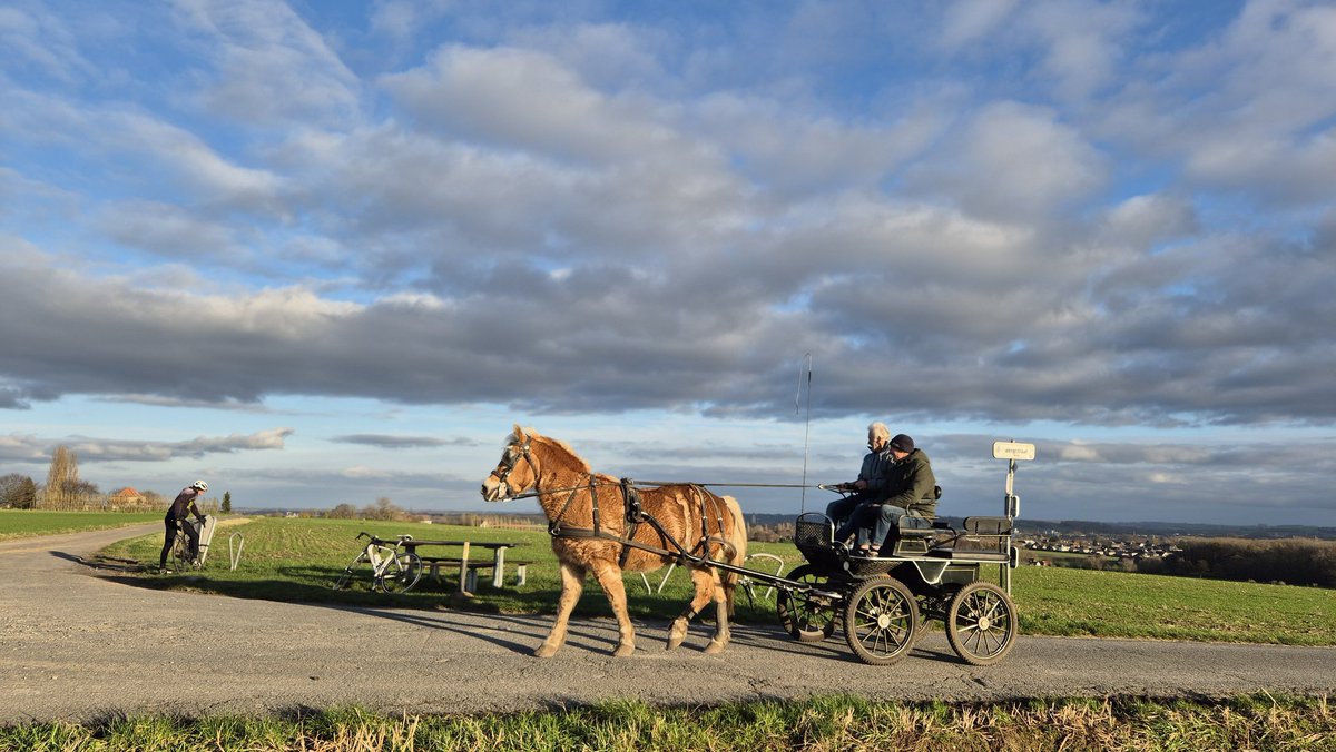 Van Hoorde Caroline tweet media