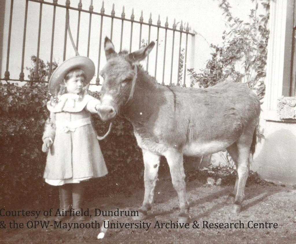 OPW-Maynooth University Archive & Research Centre tweet media