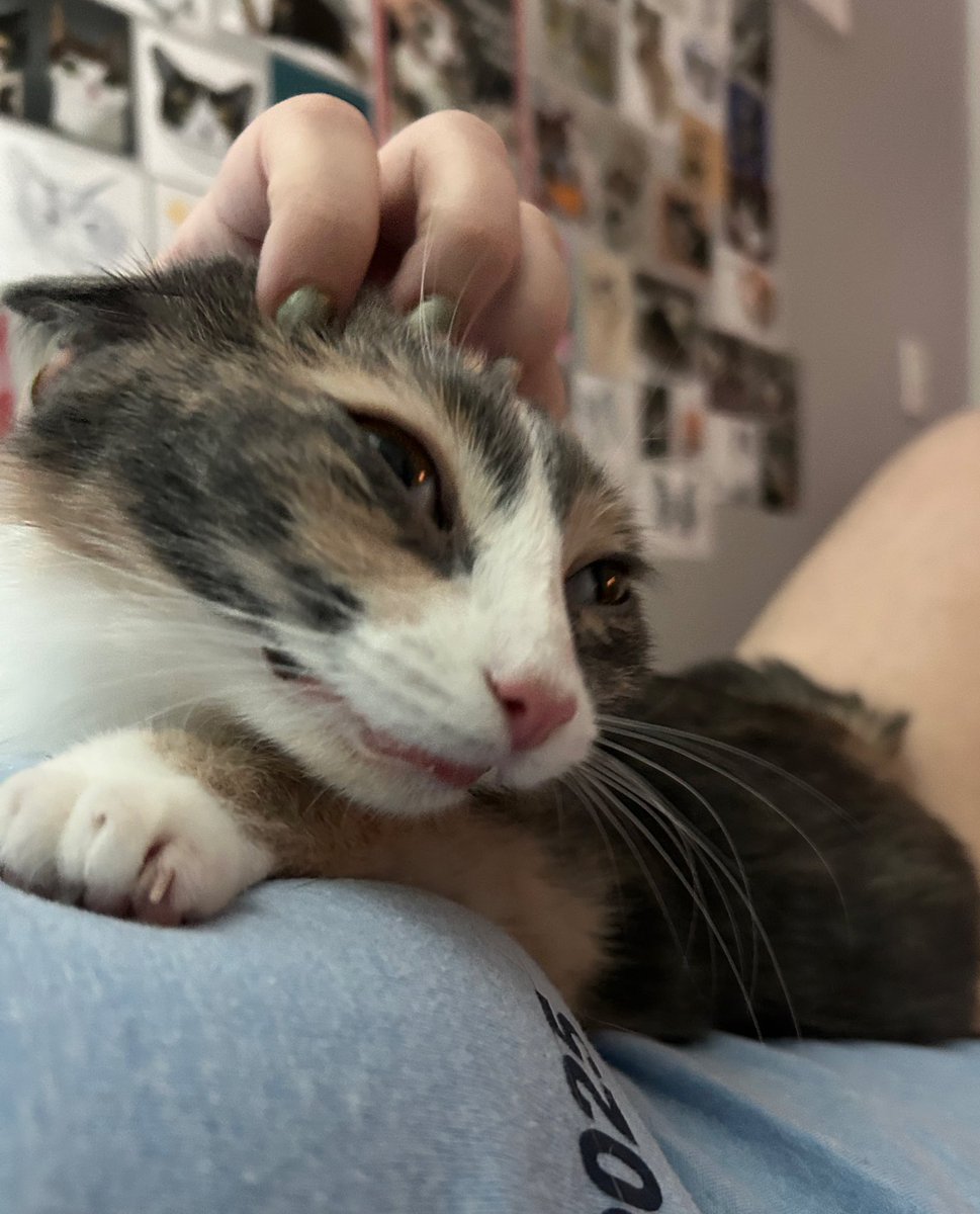 oreoeocat's tweet image. Blissed out