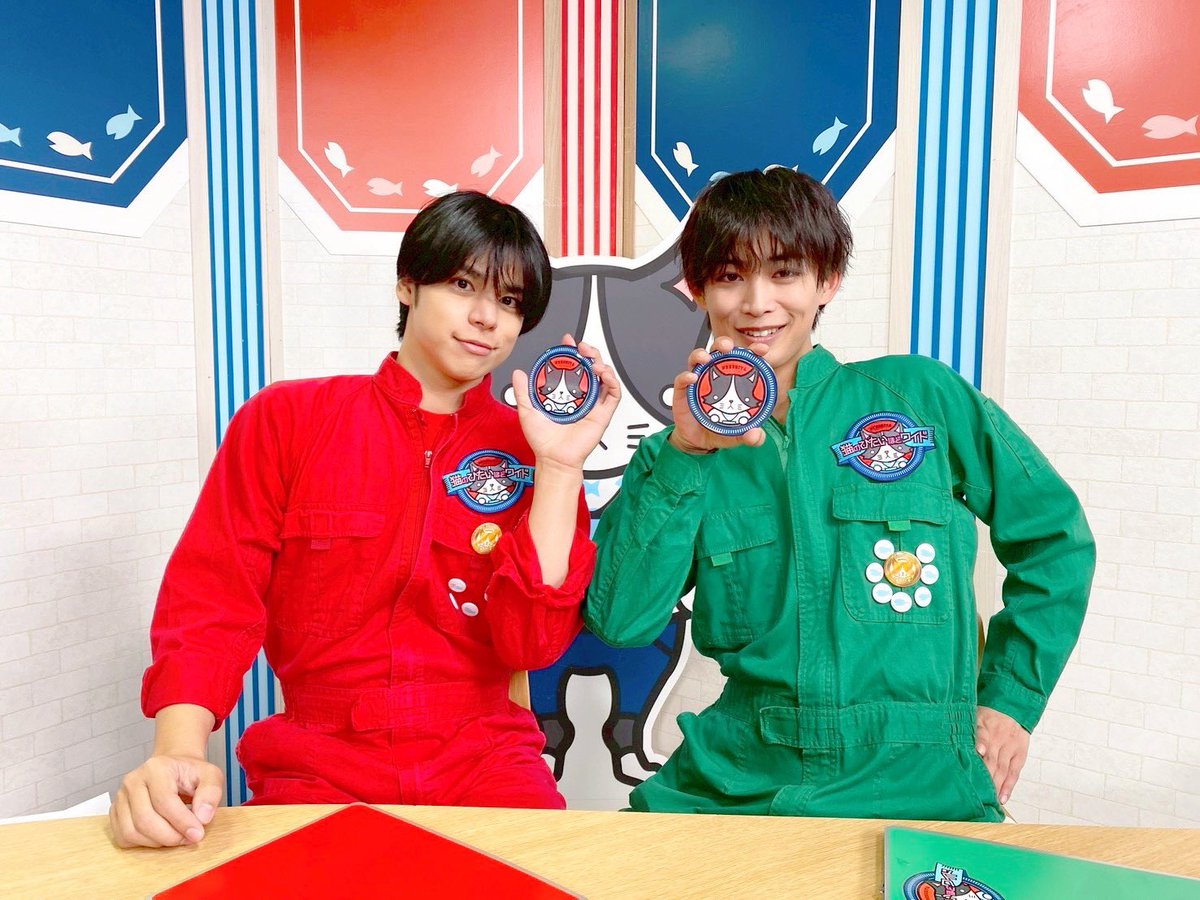 猫のひたいほどワイド (@nekonohitai_tvk) / Posts / X