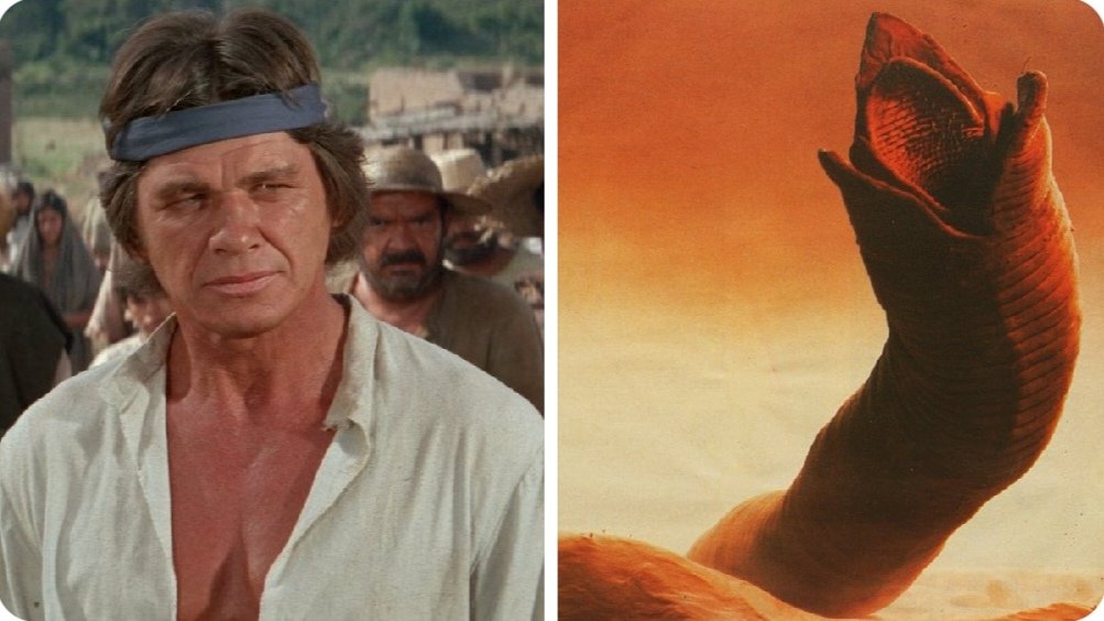 WatchZam's tweet image. T.58/74
Eroverse&apos;s decolonial leader siding with Kaijus is Teclo #GunsforSanSebastian @PJHarveyUK The Shai-Hulud he rides to battle is his own 🐓&amp;amp;🎊 oversized when magic ring djinn Amal Farouk snuffs powdered Sudanese Blistered Beetle (Meloe) #cantharidin #spice #Kuato