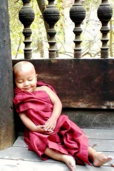 Seemajay9's tweet image. What makes you like this?
Tell tell....
#justforfun