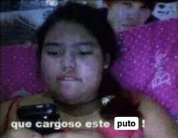 en el spotify wrapped me salió todo lady gaga