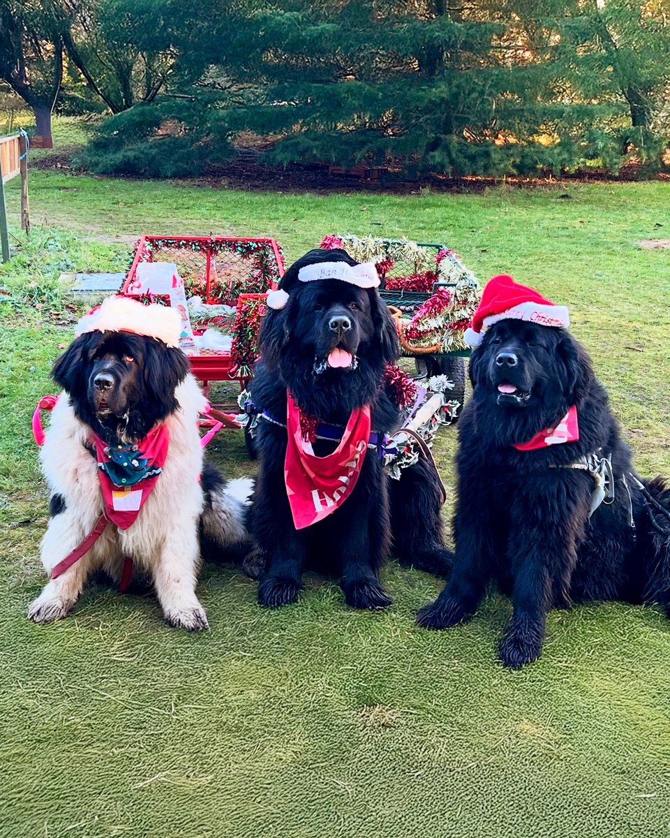 East Anglian Air Ambulance tweet media