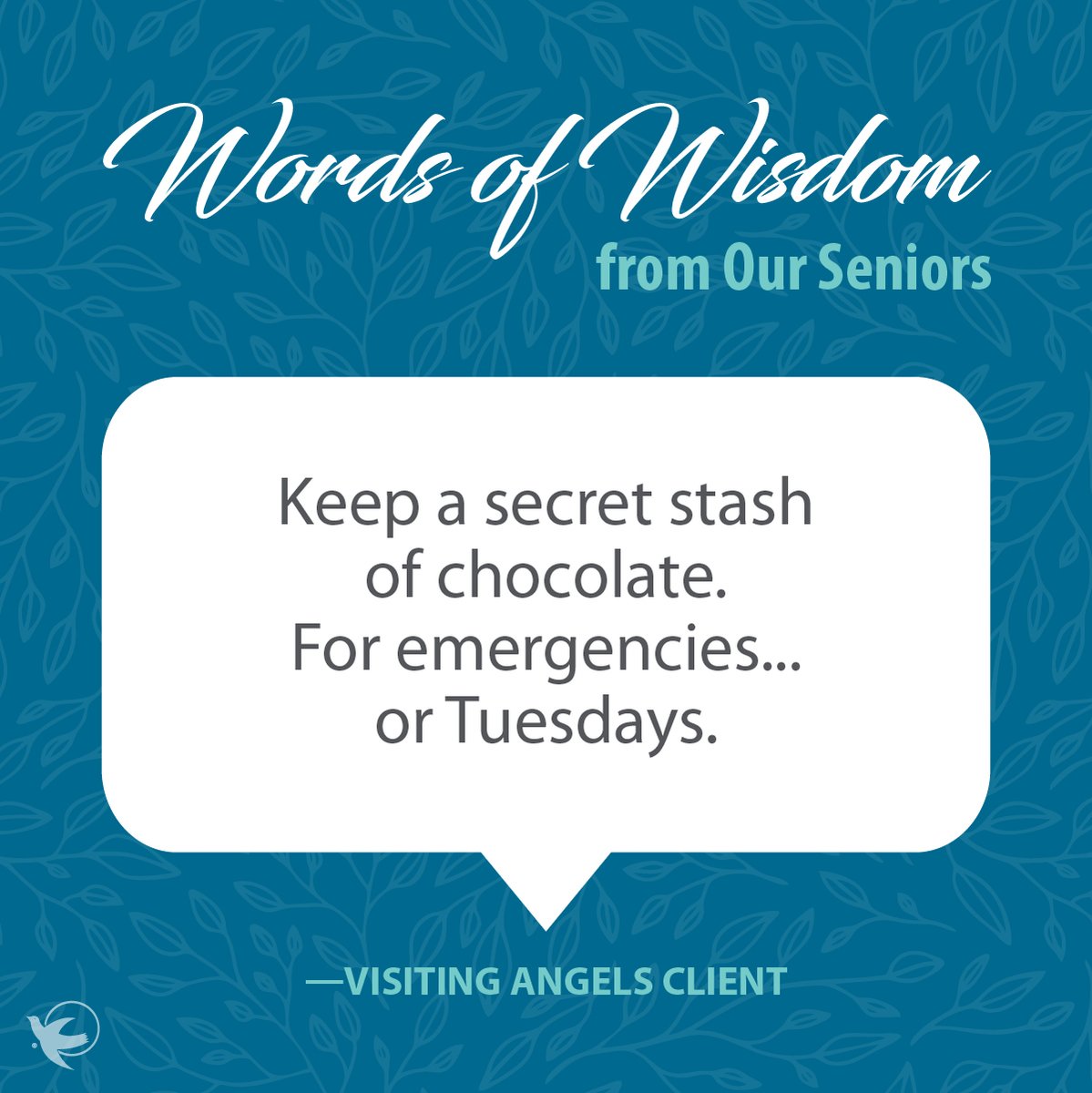 AngelsofRI's tweet photo. #VisitingAngels #VisitingAngelsofRI #homecare #CNA #caregiver #rhodeisland #family #caring https://t.co/x6mxZ5VrMO