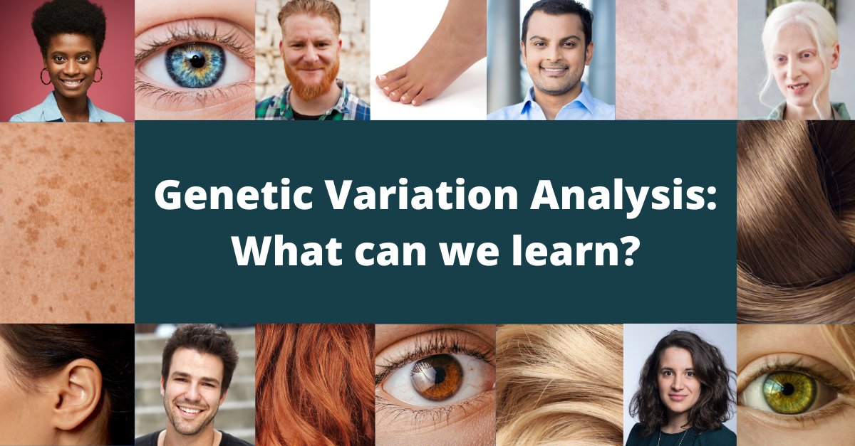 fiosgenomics's tweet image. Do you have dimples? Dimples are a great example of #geneticvariation 
Want to know exactly what genetic variation is and how genetic variations can influence health? 
⬇️Find the answers on our blog!  ⬇️
fiosgenomics.com/genetic-variat… 
#bioinformatics  #genetics