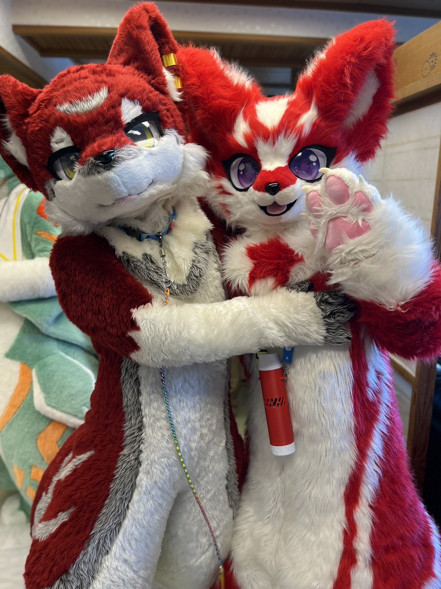 みしぇた／セウメ🔜ケモノクロス (@misheta7) / Posts / X