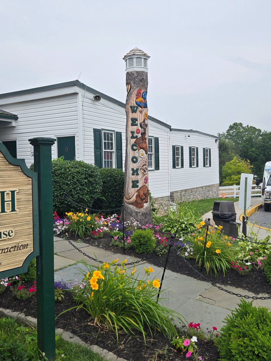 Savannah_0611's tweet image. Some more windows from my collection for #WindowsOnWednesday #AlphabetChallenge #WeekWforWindows. Hope you all aren&apos;t too tired of them.😂