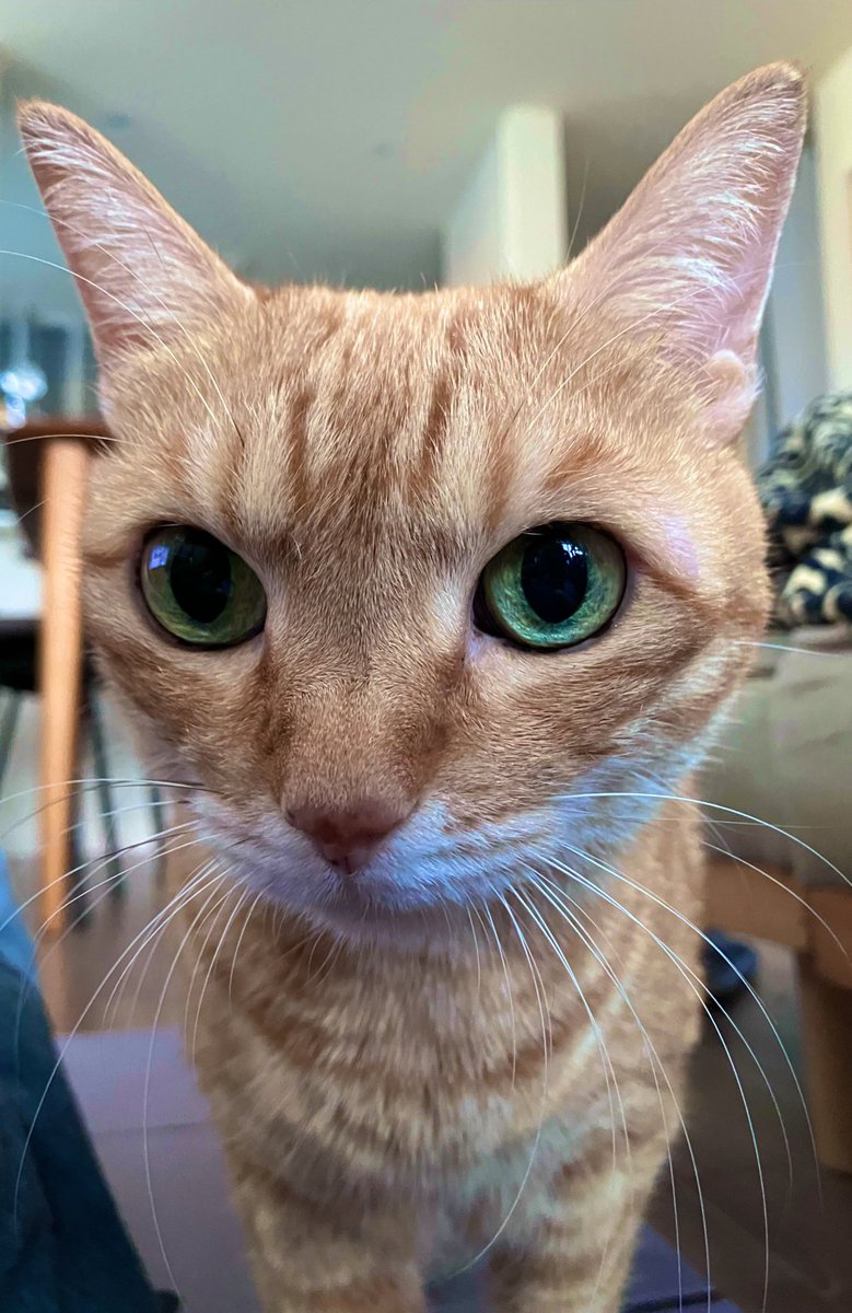 もう二度と戻れない２０２３年１０月８日日曜日の６時５１分５０秒 1310na 本来の姿を取り戻すことは出来ないのかとよく思います。 あ