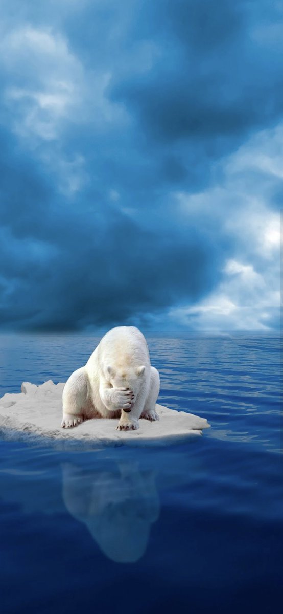 Rene_Amsterdam's tweet image. 📞💥 Let&apos;s Go Fluffy 💥📞

Fluffy iconpack,NEW, including Widgets by @AndroidTools3 

@NovaLauncher 

@SamsungNL Galaxy S25 Plus