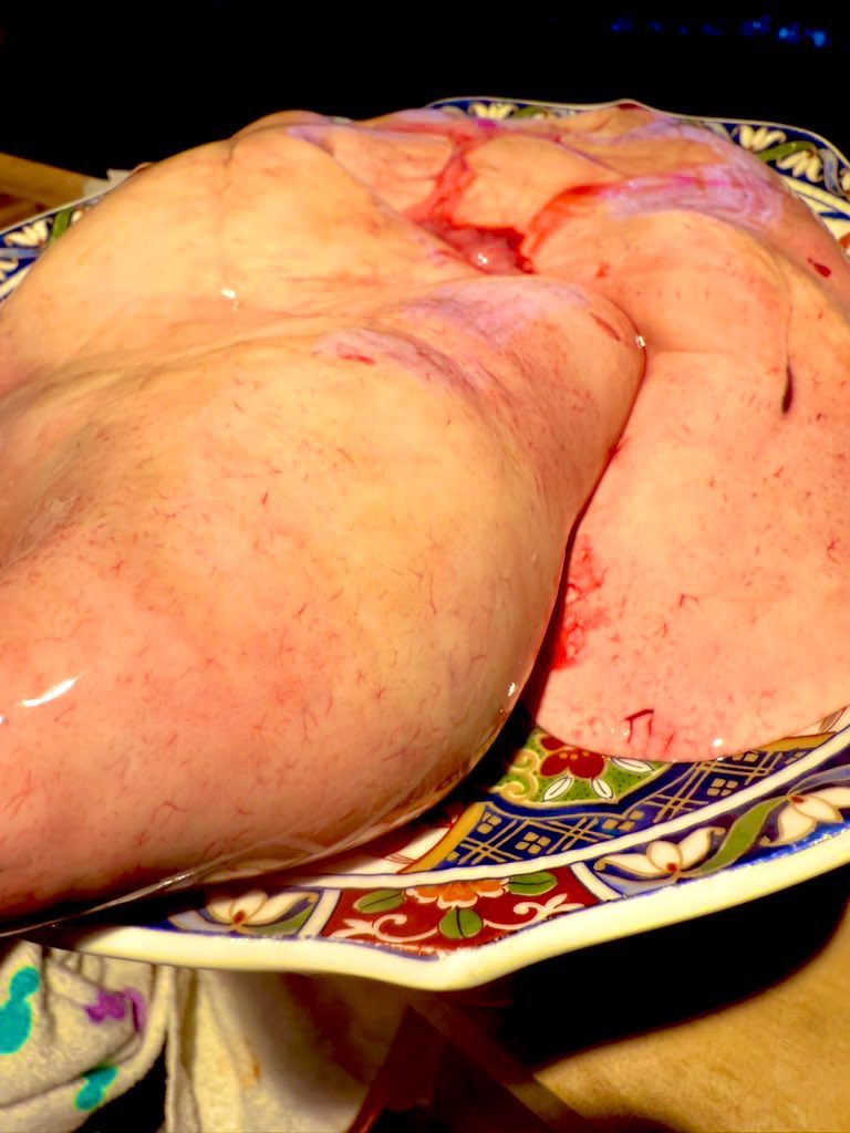 hayashi3063's tweet photo. Xの中で通風鍋が、とかプリン体がーとかいろいろと言われてる食の文化レベルが低い方々がおっしゃってますが、あなた達の2000倍、我々板前は仕事で食べてます、
はっきり言わせてもらいます、通風はほぼ遺伝ですw https://t.co/iDhrttodmn