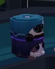 #same energy 👀✨️