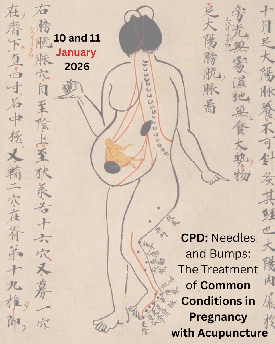 ccacupuncture's tweet photo. 🌿 CPD:Needles and Bumps: Acupuncture for Common Pregnancy Conditions with Paul Johnson
📅 10–11 January 2026 10am–5pm
Safety, TCM approaches, and treatment of key pregnancy-related conditions including morning sickness, pelvic pain, breech, anxiety, insomnia...
✨ Limited spaces https://t.co/eLY6rd67KD
