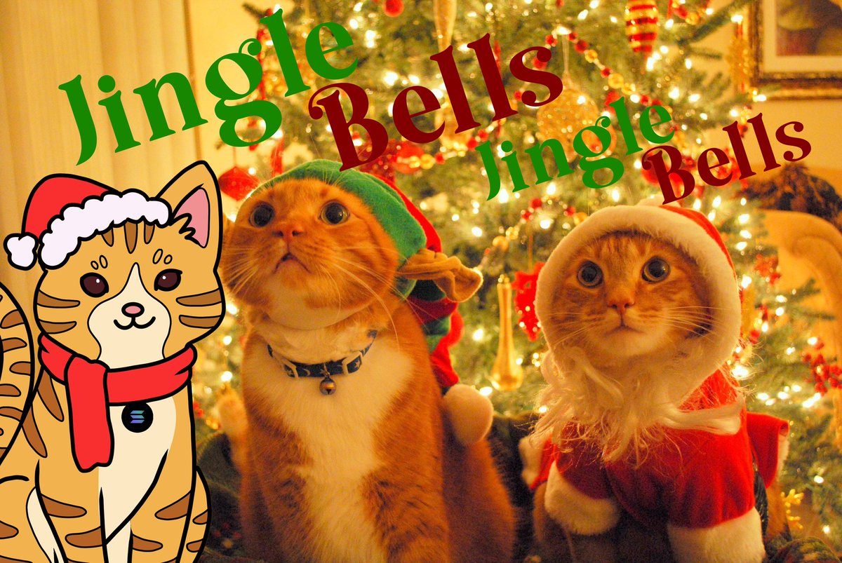 SolJingle's tweet image. #JINGLE ARMY AT MILLIES