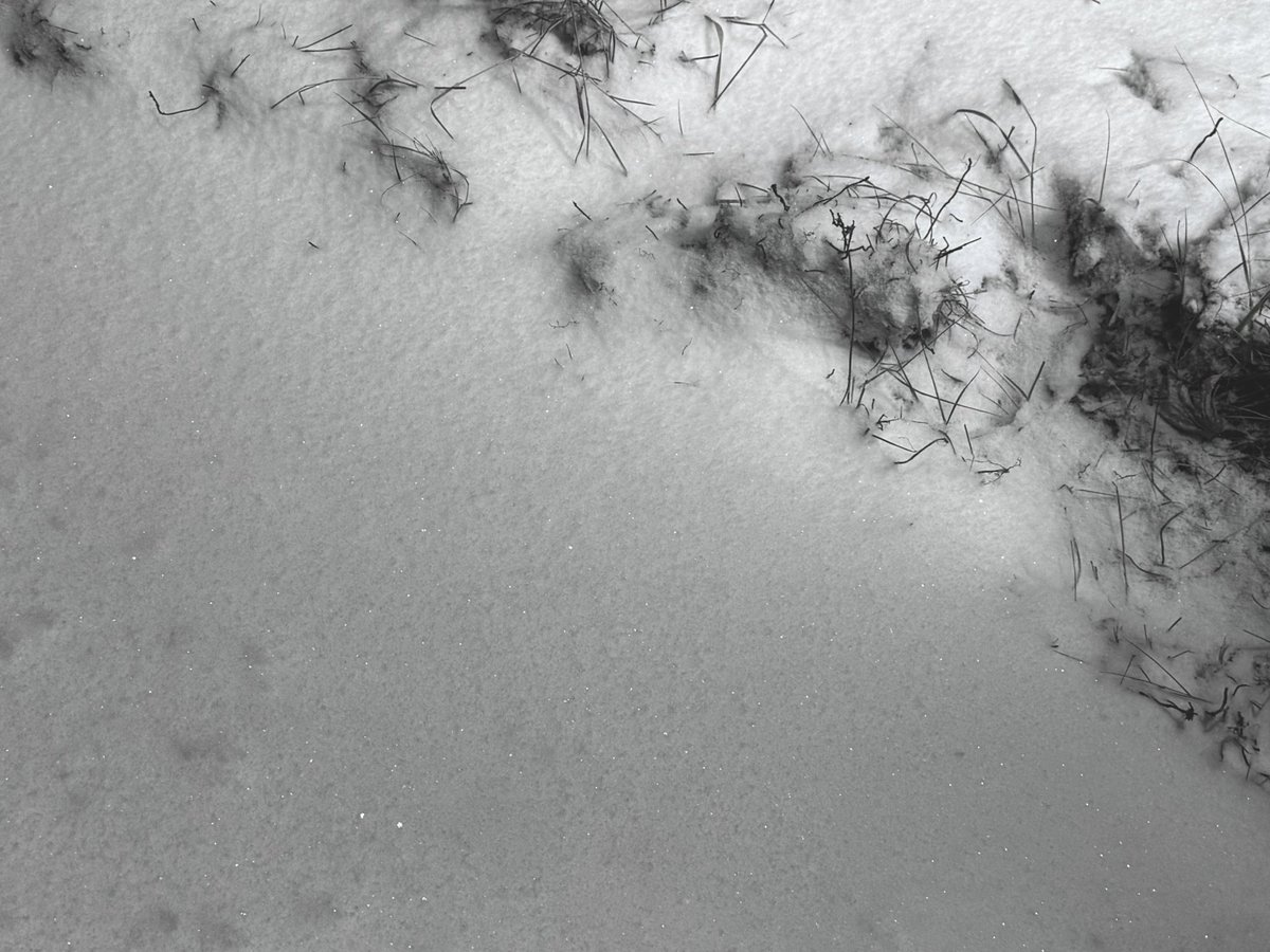 じっと寒さに耐えるか、
手を擦って少しでも暖まるか、
どちらが体のエネルギー効率が良いのだろう？

そんなことを考えながら歩いた雪の夜。

#冬の記録