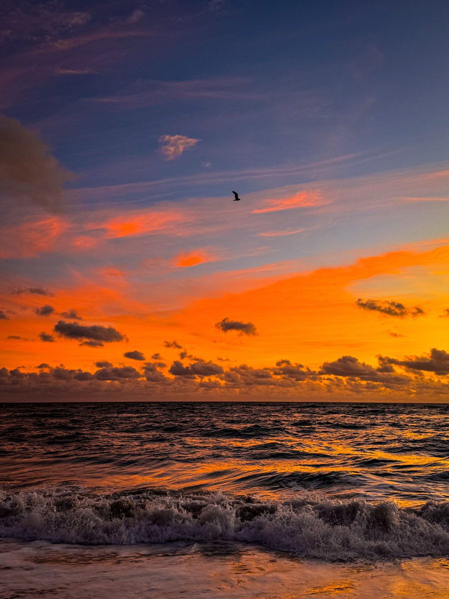 Amazing Nature (@amazingpicshq) on Twitter photo 