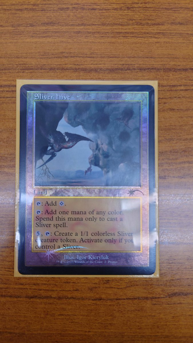 スパラーの本部 ボーダーレス foil✖️3 TCG専門店 蓮屋 MtG & FaB