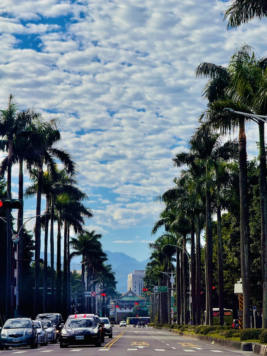 Daniel Chen tweet media