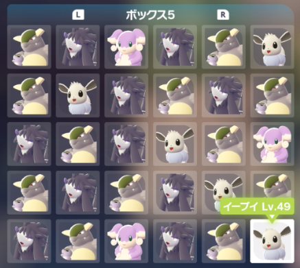 syumiPokemon's tweet photo. ポケモンZA『何でも交換会』開催のお知らせ

【日時】
12月6日(土)22時～23時

主は『19番産色違いのポケモン』を流します。
色違いラブボ入り親分タブンネも流すよ！

↓↓放送はこちら↓↓
https://t.co/8dTMLGQSDg

【やり方】
１、あいことば『０１２０』で交換
２、誰かとマッチング
３、必ず交換
※同じ方と何度当たっても必ず交換してください

【禁止】
・マッチしたのに交換しない事
・バグまたは改造、増殖の疑いのあるポケモンを流す

※注意※
・色違いの交換会ではありません。

・交換に出すポケモンはそこらへんで捕まえたポッポ（通常色）でも大丈夫です！

・1分待っても相手が交換してくれない場合は切断して次いこう！（エラーの可能性有り）

ルールを守って楽しく交換会しようね(๑ㅎ⌓ㅎ๑)ﾉ

#しゅみ交換会 #ポケモン交換会 #ポケモンZA #ポケモン