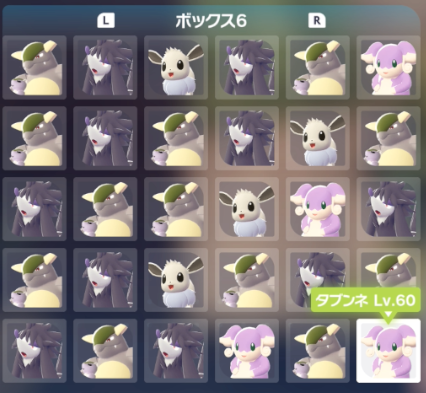syumiPokemon's tweet photo. ポケモンZA『何でも交換会』開催のお知らせ

【日時】
12月6日(土)22時～23時

主は『19番産色違いのポケモン』を流します。
色違いラブボ入り親分タブンネも流すよ！

↓↓放送はこちら↓↓
https://t.co/8dTMLGQSDg

【やり方】
１、あいことば『０１２０』で交換
２、誰かとマッチング
３、必ず交換
※同じ方と何度当たっても必ず交換してください

【禁止】
・マッチしたのに交換しない事
・バグまたは改造、増殖の疑いのあるポケモンを流す

※注意※
・色違いの交換会ではありません。

・交換に出すポケモンはそこらへんで捕まえたポッポ（通常色）でも大丈夫です！

・1分待っても相手が交換してくれない場合は切断して次いこう！（エラーの可能性有り）

ルールを守って楽しく交換会しようね(๑ㅎ⌓ㅎ๑)ﾉ

#しゅみ交換会 #ポケモン交換会 #ポケモンZA #ポケモン