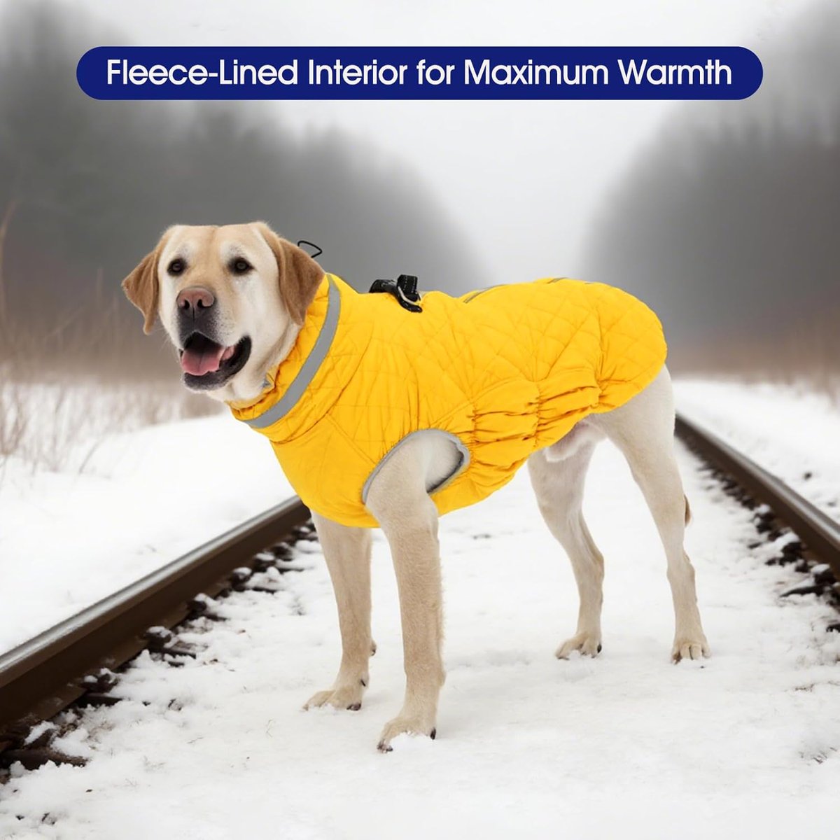 ComputerPal's tweet image. FUAMEY Dog Coat for Large Dogs,Waterproof Dog Winter Jacket with Harness Built in Puppy Cold Weather Coats Reflective Pet Vest with Zipper Warm Fleece Dogs Snowsuit Windproof Yellow 2XL geni.us/ETRPd9 #Amazon via @Amazon 

#ad #dogsofX #pets #amazonfinds #winter