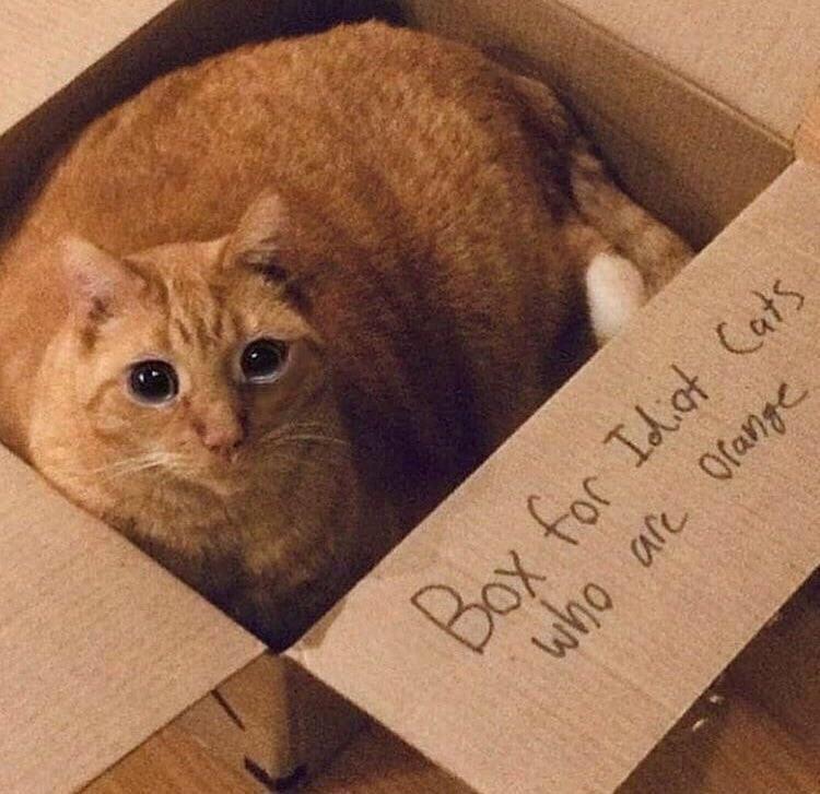 vx-underground tweet media