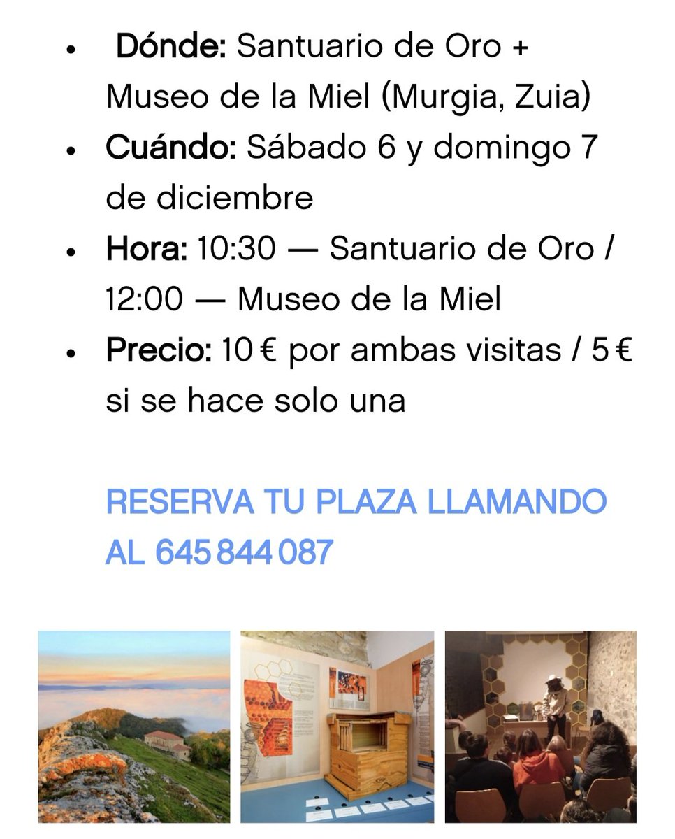 Visitas guiadas al Santuario de Oro y al Museo de la Miel-Eztiaren Museoa (juntos o por separado), este próximo sábado 6 y domingo 7 de Diciembre.
Anímate!!! Zatoz! #Zuia #Gorbeialdea