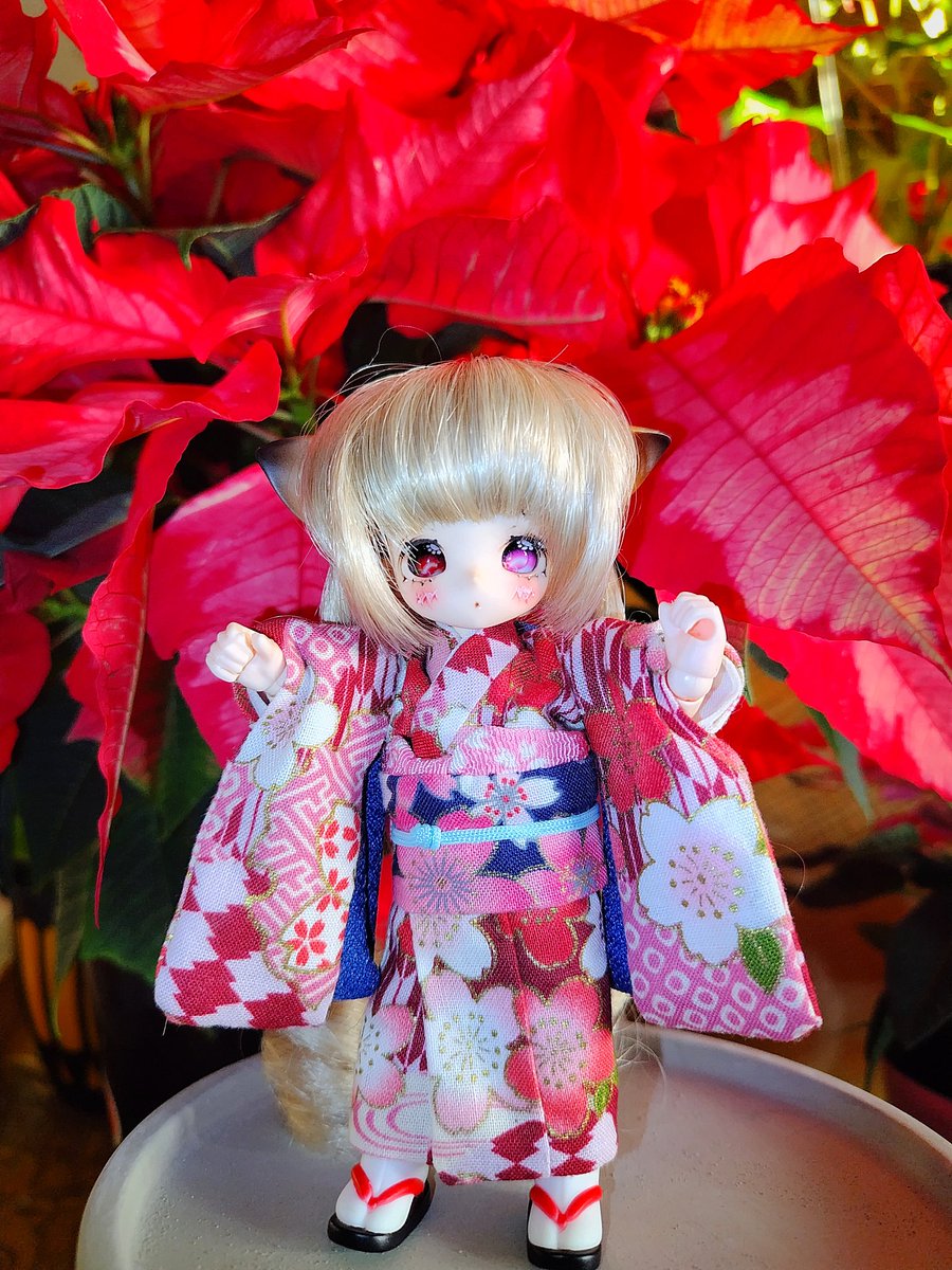 こんばんは🌟

私事ですが持病が少し悪くなったので少しの間、投稿はお休み致します
体調の良い時は皆さんの素敵なお写真に癒して頂きますね🦊🍀

🐱しばらくバイバイにゃ