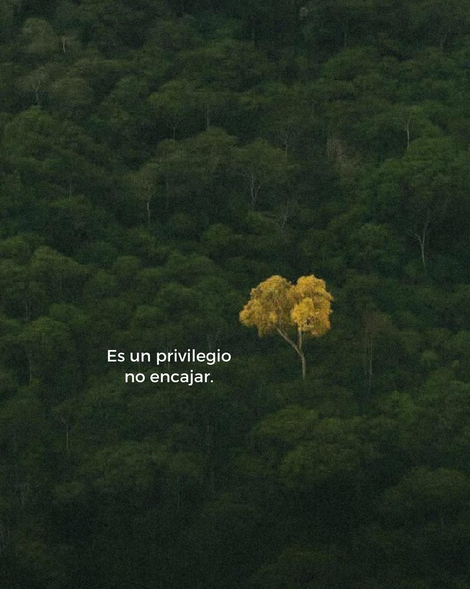 nación (@escritosnacion) on Twitter photo 