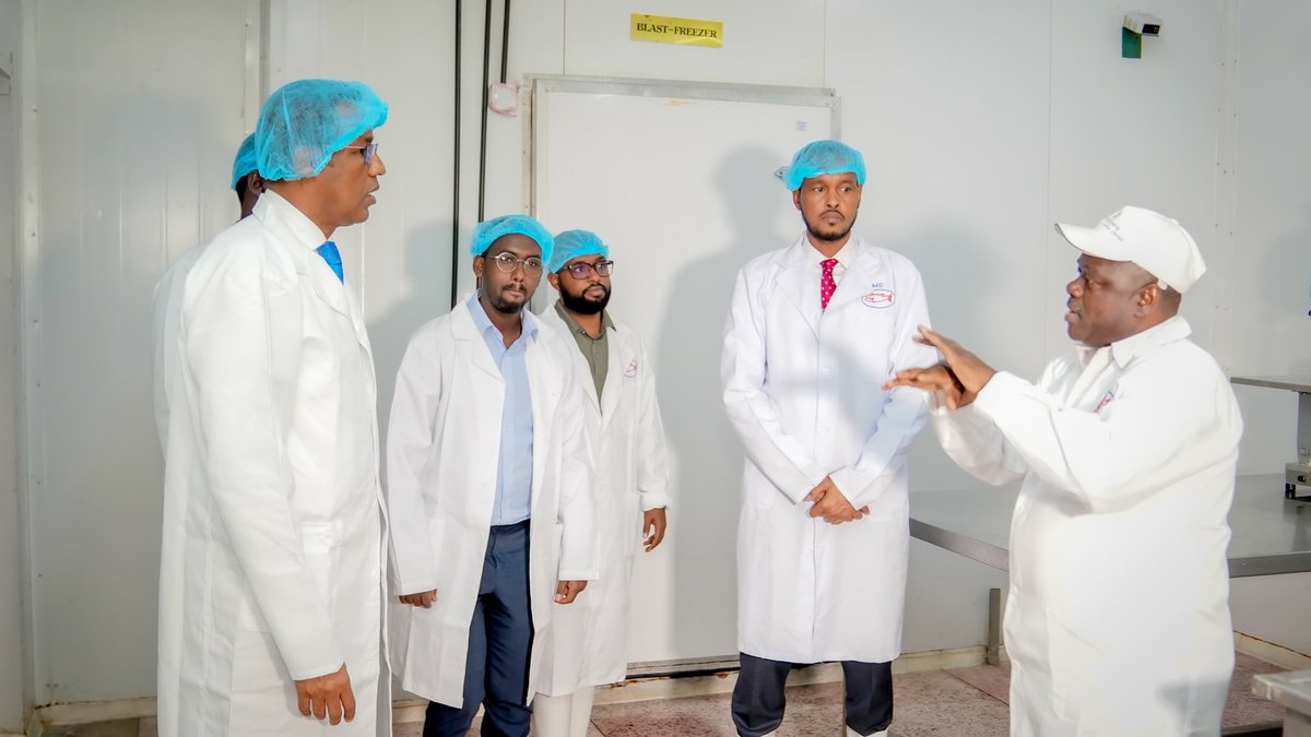 Ijabril's tweet photo. Somali entrepreneurs have stepped onto the global stage. I had the honor of visiting “Simple Life Processing and Services Ltd”, a powerhouse brand that is raising the bar for premium frozen & chilled #fish products around the world. With EU, HACCP, FDA, and BSP SPS 5.1 approvals

They’ve met and exceeded some of the toughest global export requirements. This means their fish products are now reaching #European and #American markets with world-class credibility and confidence. Congratulations to the entire Simple Life Processing and Services Ltd team. #Somalia