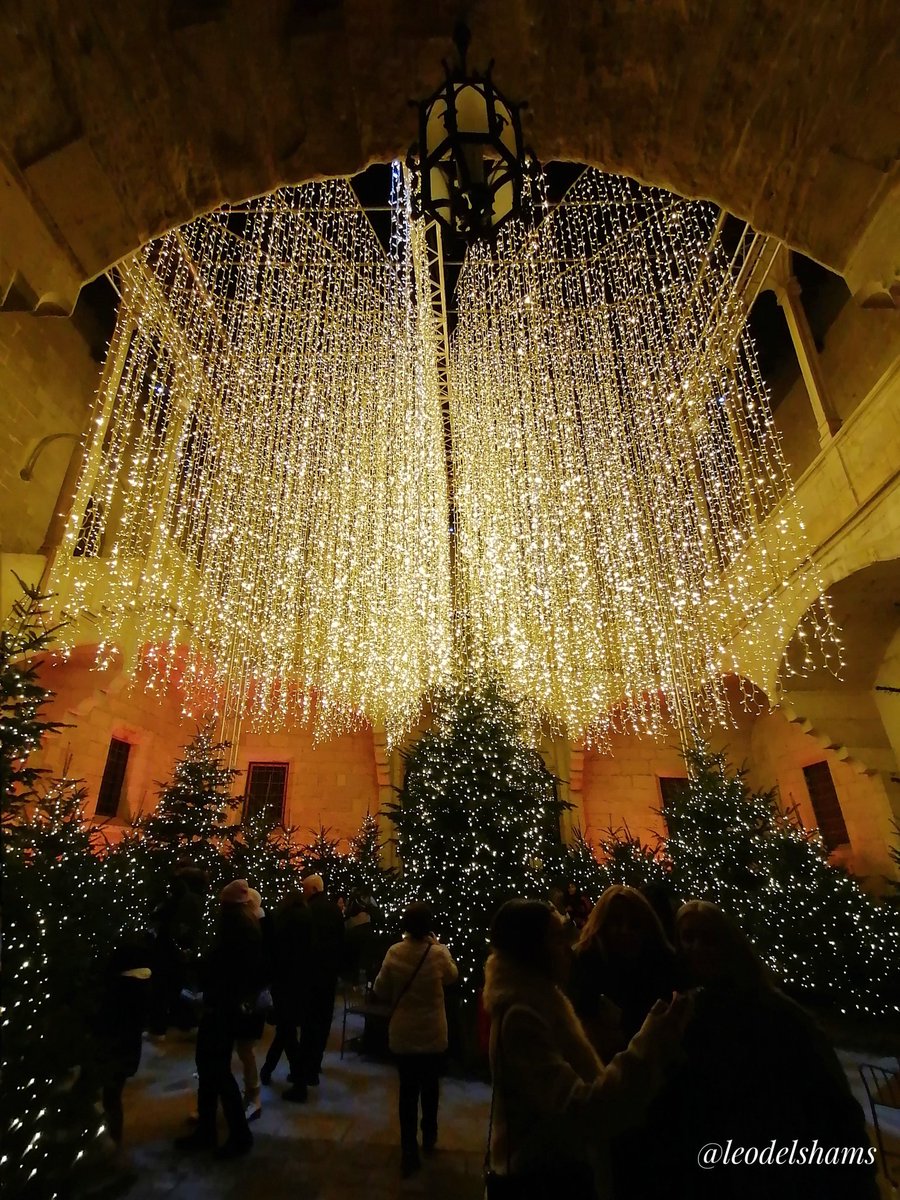 Lleonard Delshams Valdes tweet media