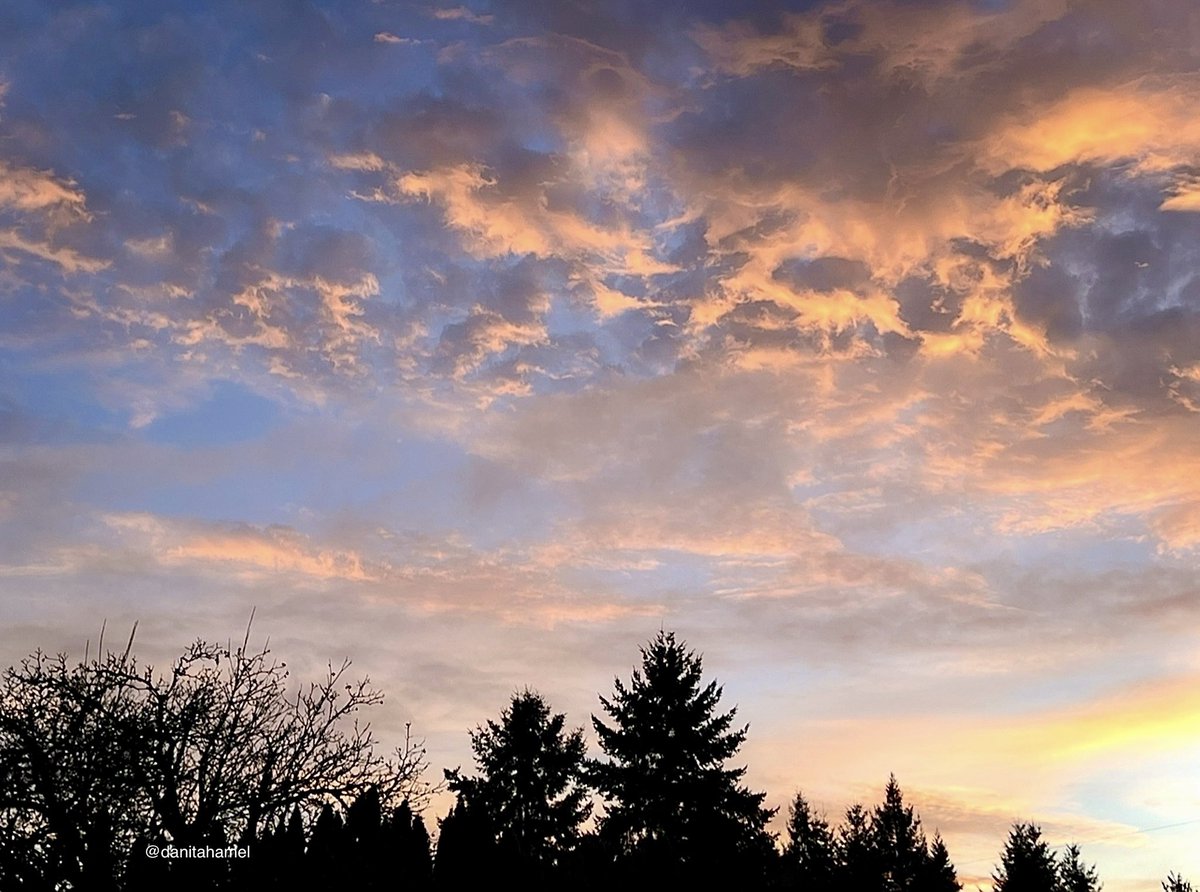 danitahamel's tweet image. Happy Wednesday everyone!☕️🫖😊

Today’s photo theme is: Floating ⛅️💕

#Floating