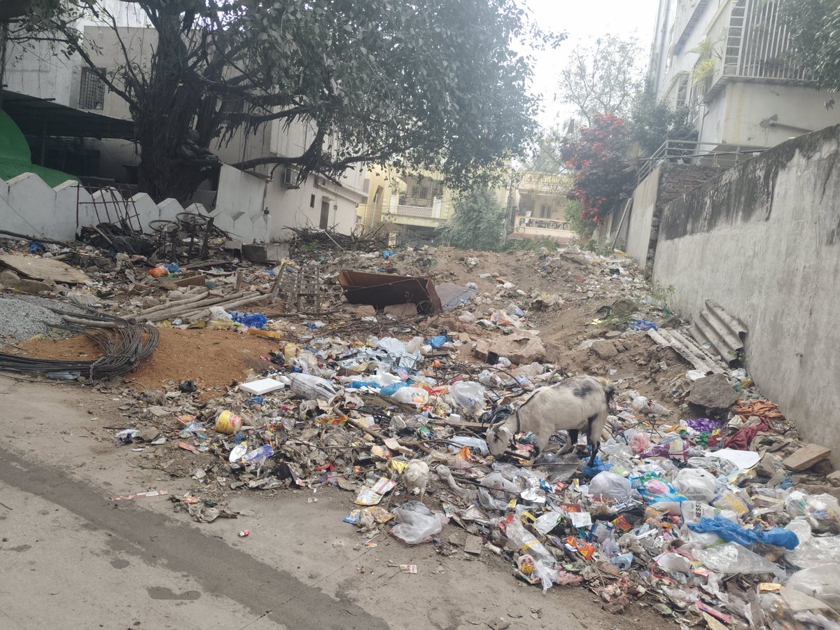 Mohammed Adil tweet media