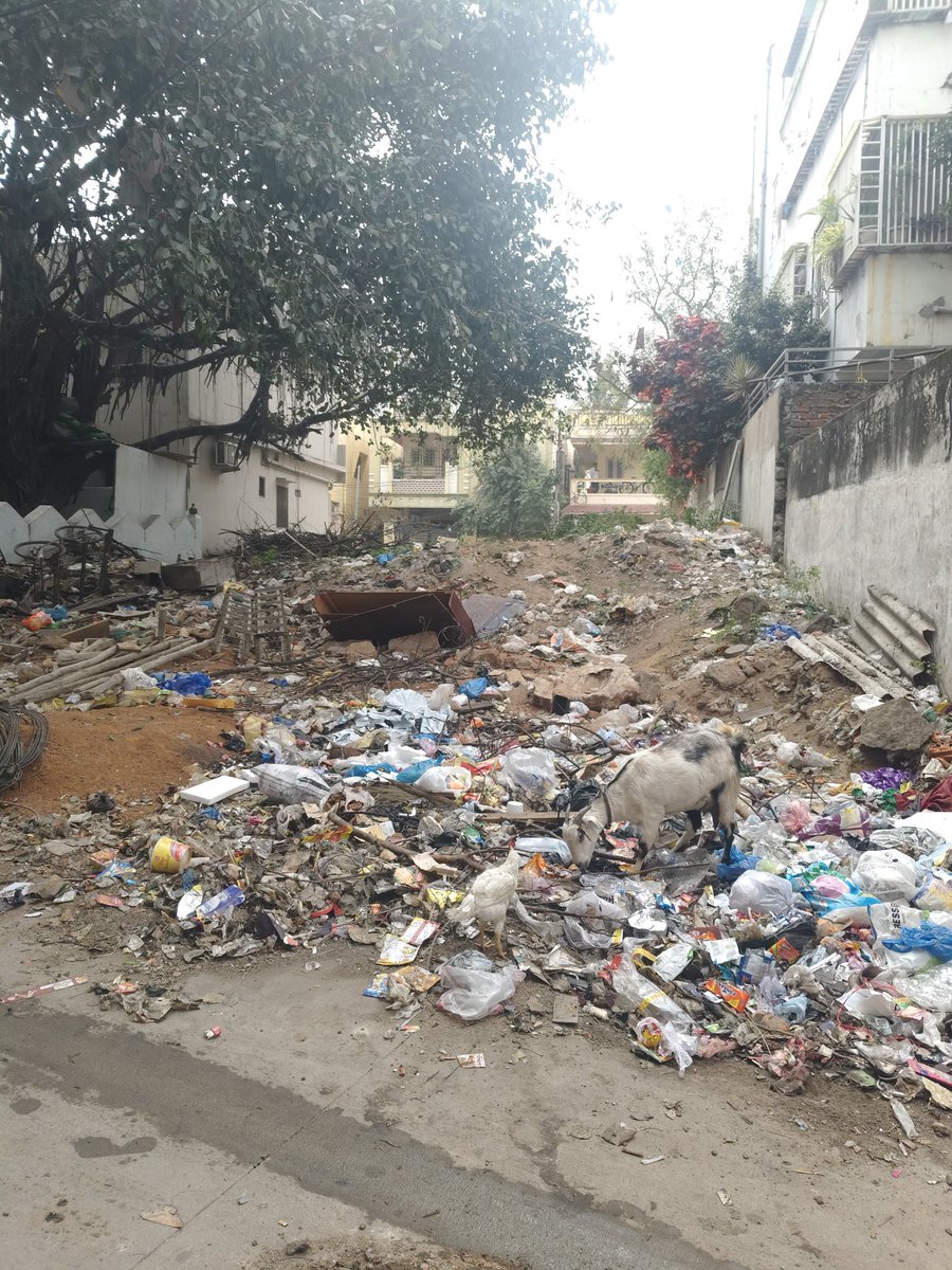 Mohammed Adil tweet media