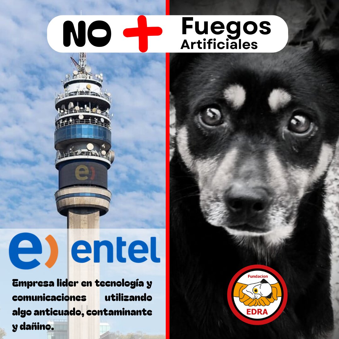#FundacionEDRA tweet media