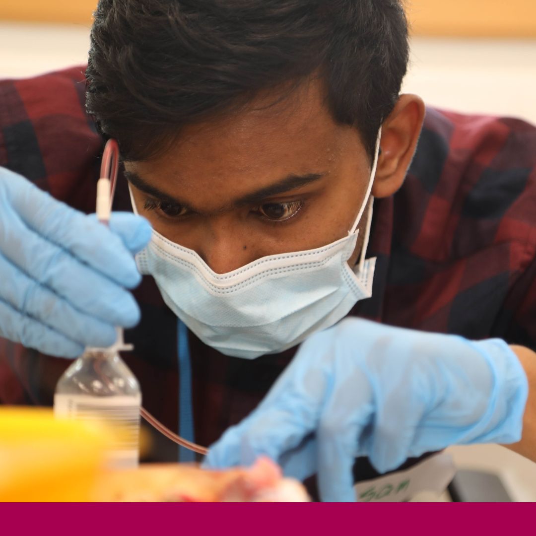uniofgalway's tweet photo. Want to become a health care professional? 👩‍⚕️🩺💉🩹🧑🏾‍⚕️🩸 We have you covered.​ The College of Medicine, Nursing and Health Sciences at University of Galway offers courses in:​

✅ Health Sciences
✅ Nursing & Midwifery​
✅ Medicine 

Earn a globally-recognised degree that will open doors to a world of career opportunities 👉 https://t.co/vDp7sTSyB9​

#WhereWillItTakeYou