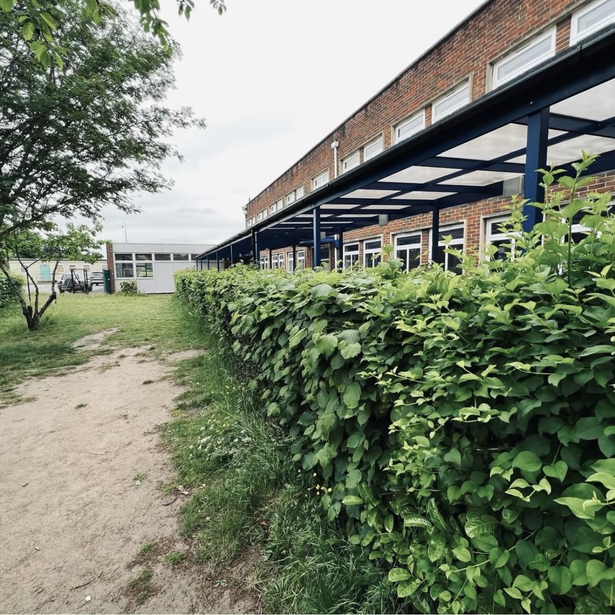 PCPBuilding's tweet photo. 🏗️ Project complete in Camberley, Surrey @KingsIntColl 

We transformed an unused grass area at Kings International College into a weather-protected external dining space with a new canopy ☀️☔

📞 01342 895 399 | 📧 office@pcplimited.org

#Construction #Surrey https://t.co/1ls6VP9OTn