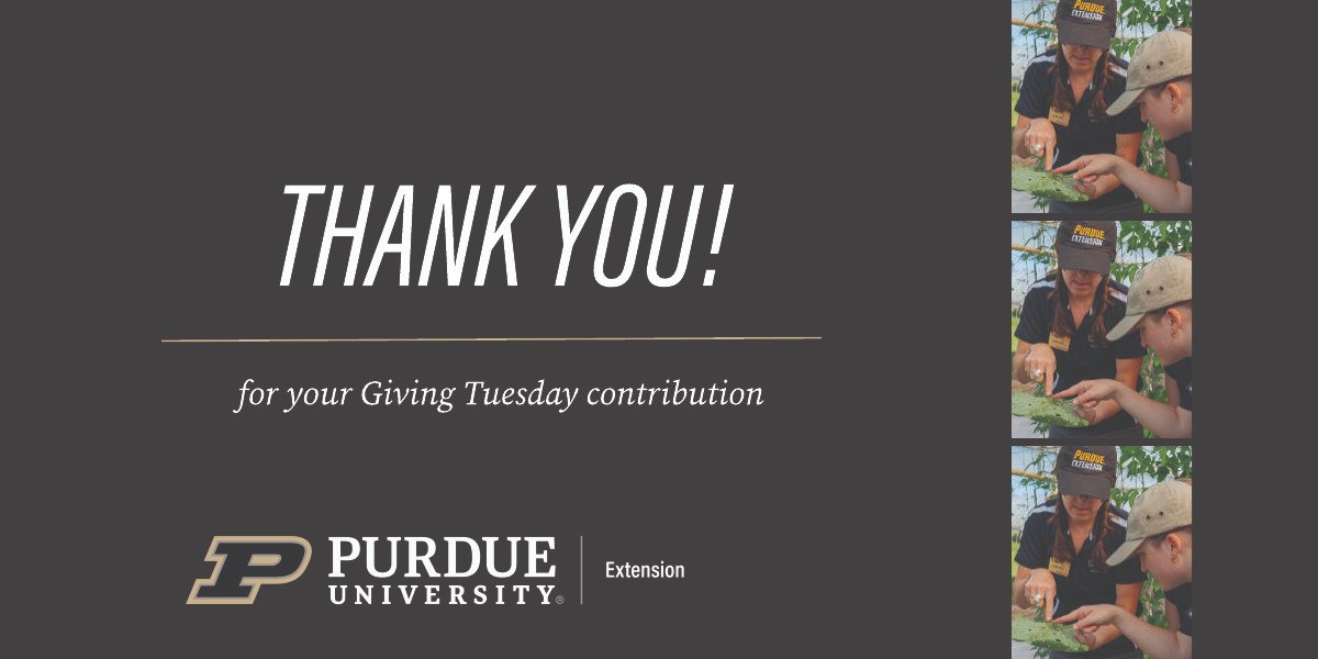 PurdueExtension's tweet image. We appreciate everyone who chose to support Purdue Extension on Giving Tuesday! Your contributions help us keep doing meaningful work with Indiana communities.