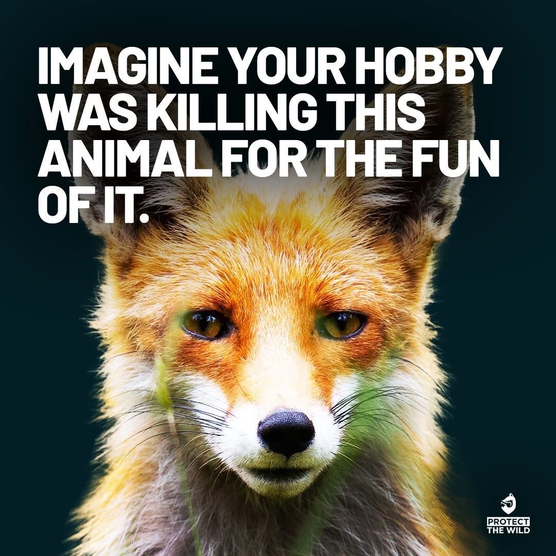 Vile people. We won’t rest until fox hunting is finished.