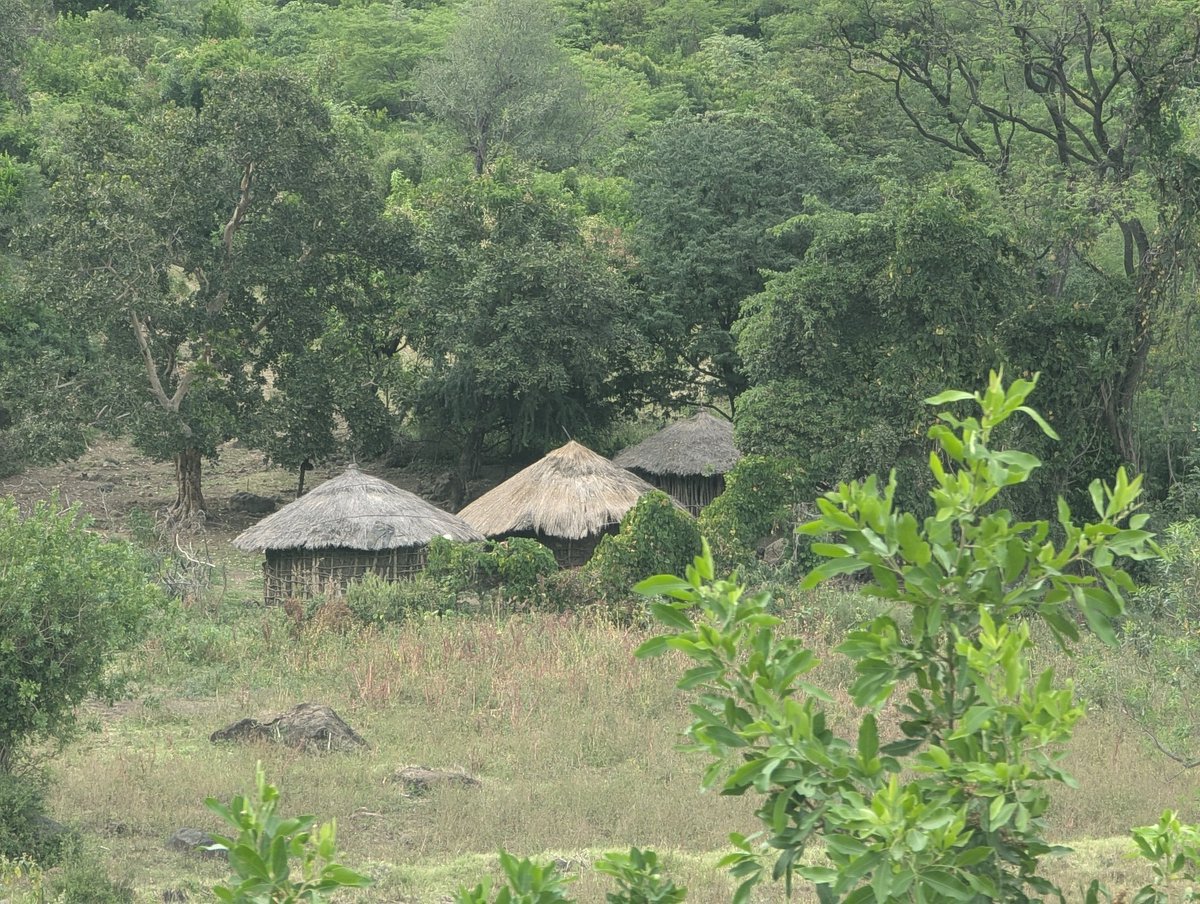 The book we are rewriting each day God wakes us up