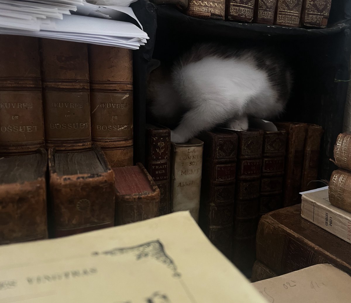 Amahroq ⴰⵥⴰⵢⵢⵉ tweet media