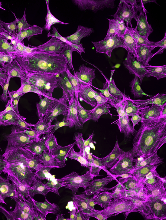 KEYENCE CORPORATION OF AMERICA tweet media