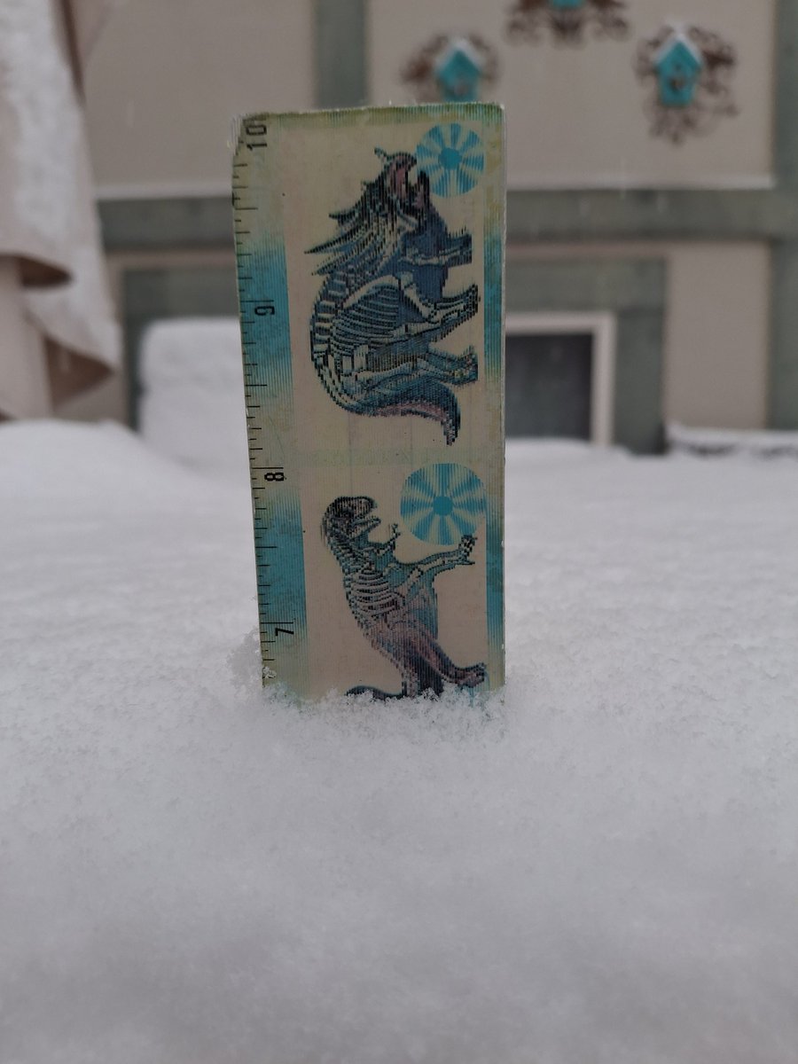 Lorraine Lanning 🙂 🍖🍗🏕🦉🦅🦢🐦🦆 tweet media