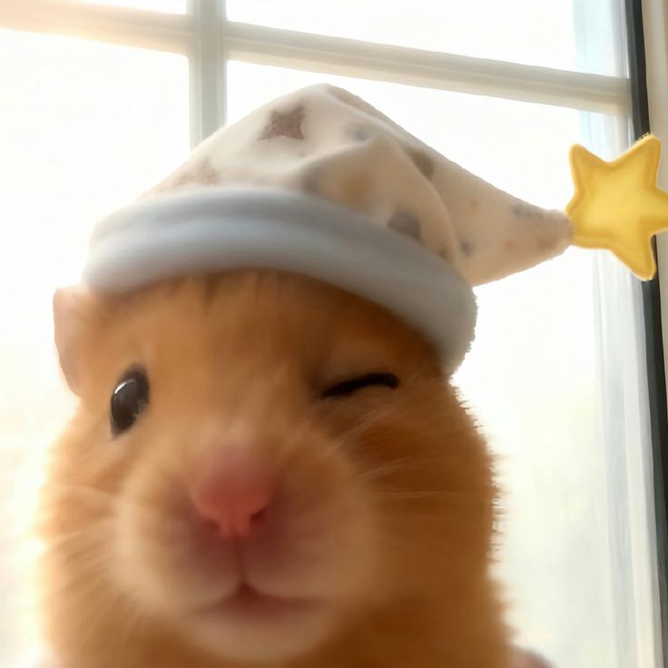 𝘼𝙪𝙧𝙞𝙨𝙮𝙖 𝙆𝙬𝙖𝙣𝙙𝙤. tweet media