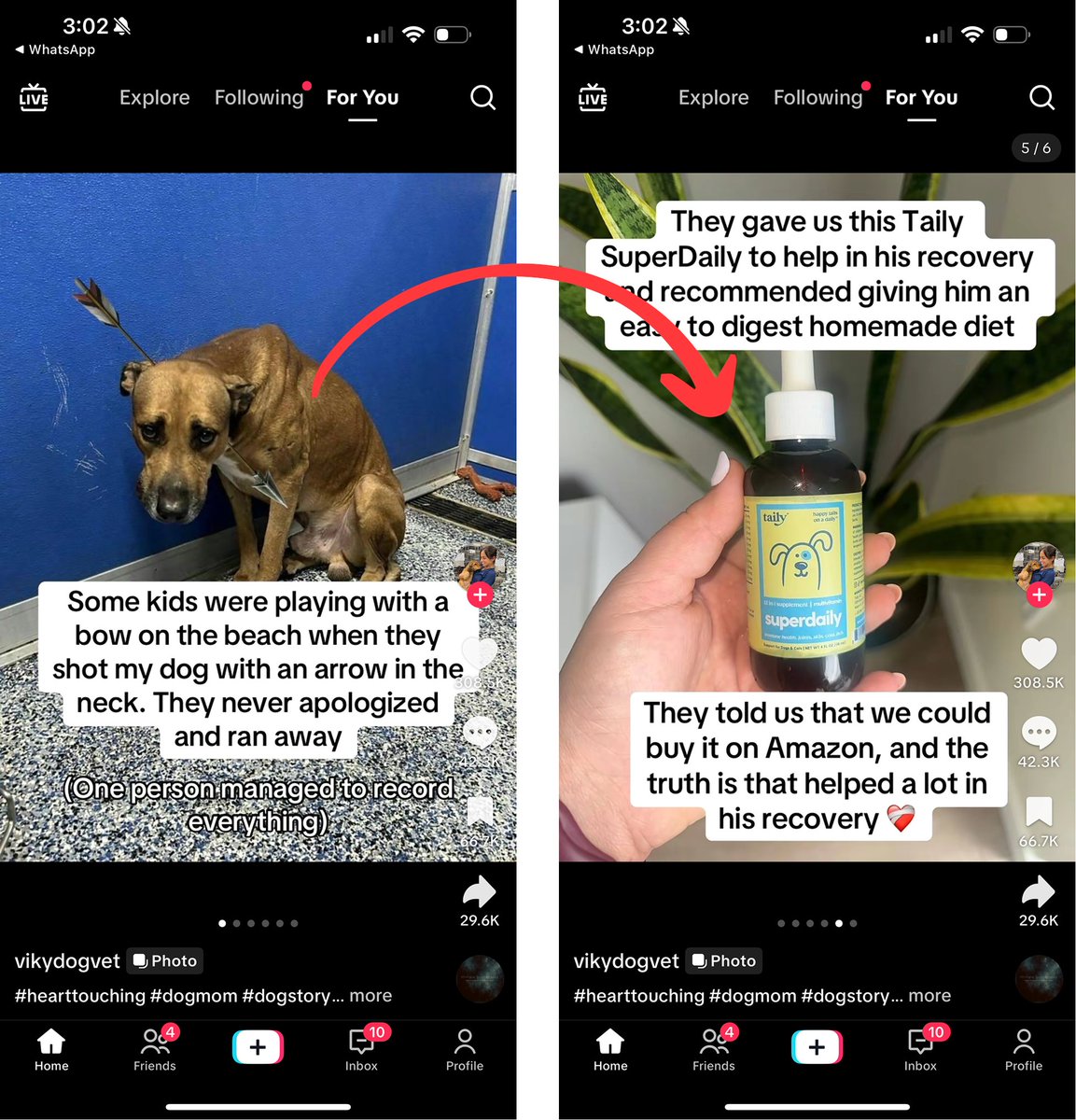 iamgdsa's tweet image. I found the biggest scheme of insanely wild AI brain-rot TikTok designed to sell you supplements.

&amp;gt; 40 organic AI slideshow Amazon seller TikTok account (just a sample)
&amp;gt; together they pulled in 252,000,000 views
&amp;gt; across 5,533 videos

Full analysis thread with every account…
