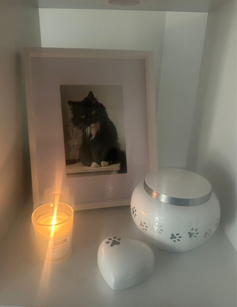 Hi pals 🌈 Coming to you from OTRB. As you see I have returned home to mumma. Just wanted to thank everyone for 10 years of earthly fun and I will be looking over mum and dad from 🌈
💗 You all x