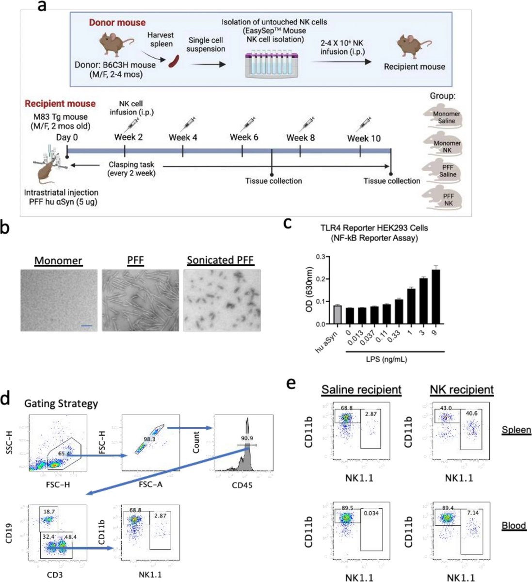 Molecular Neurodegeneration Advances tweet media